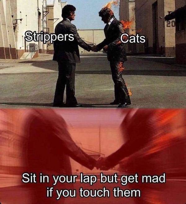 You Know You Like These NSFW Memes