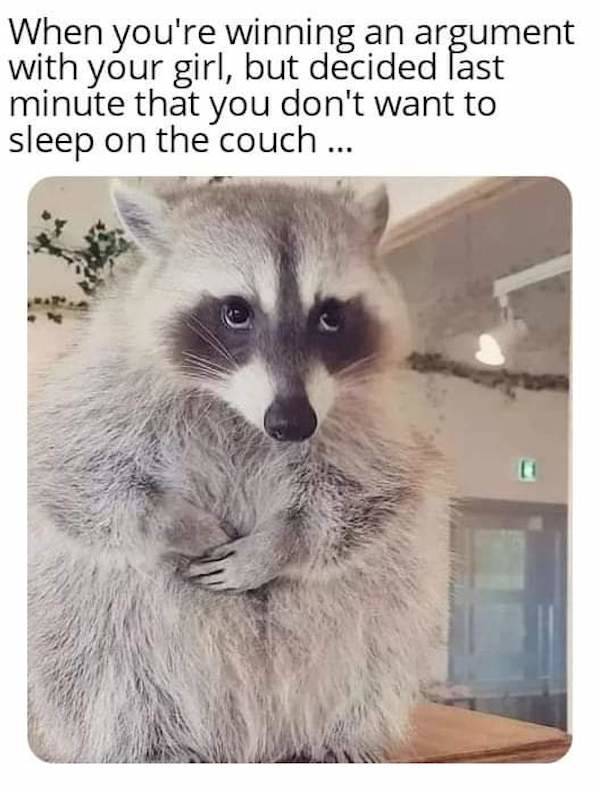 you know you like these nsfw memes 70 pics 16.html - 70 HD Photos | Premium Gallery 2022