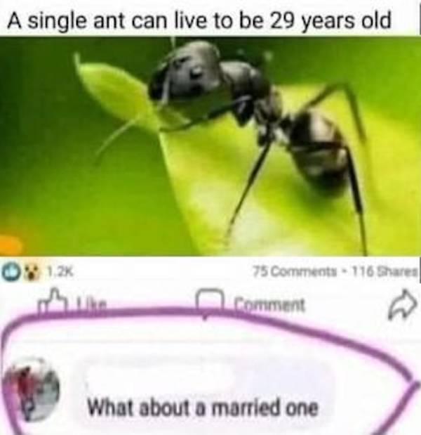 You Are Very, Very Dirty…