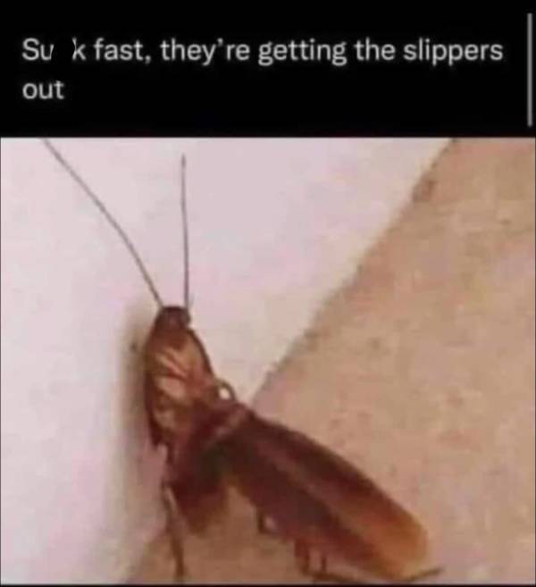 You Are Very, Very Dirty…