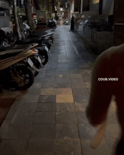 hot girls are here for you 42 gifs 3.html - 1 HD GIF | Premium Gallery 2022