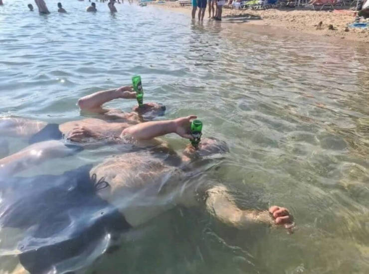 how drunk are they 67 pics 1 gif 29.html - 67 HD GIF | Premium Gallery 2022