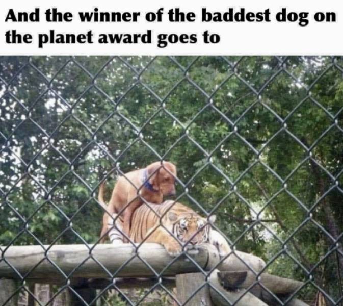 are you dirty enough 56 pics 15.html - 56 HD Photos | Premium Gallery 2022