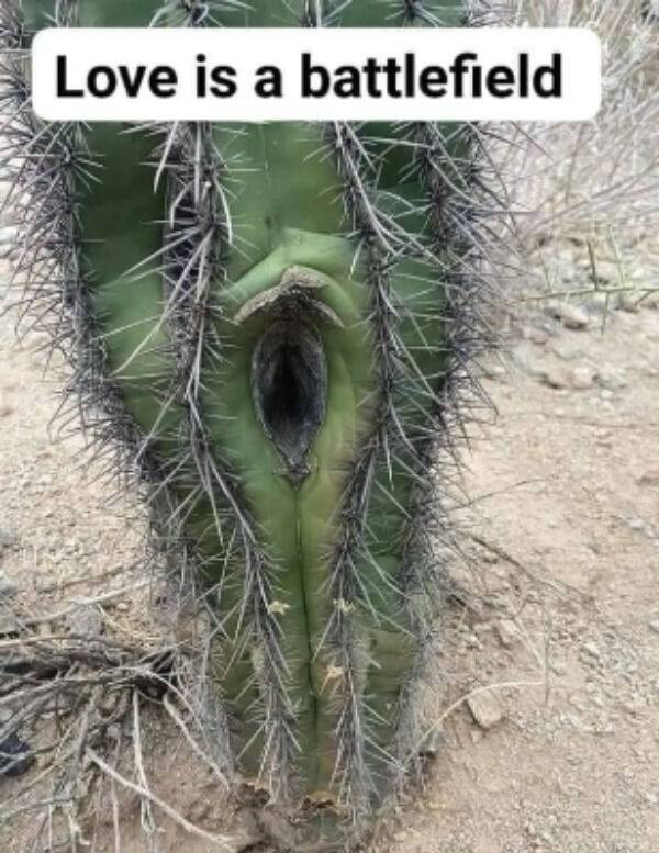 lets get dirty 52 pics 2 gifs 12.html - 52 HD GIF | Premium Gallery 2022