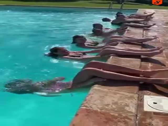 What Are They Doing?!