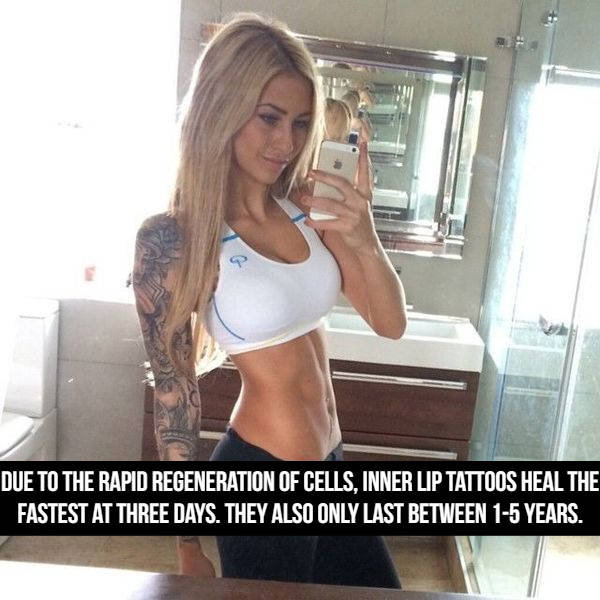 Sexy Tattoo Facts