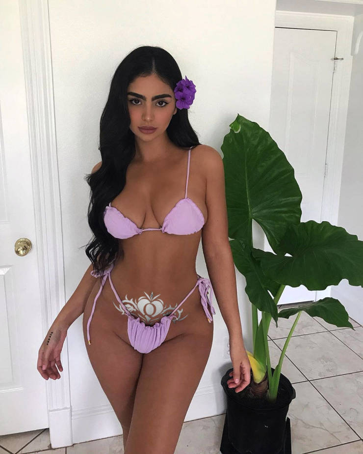 the pinnacle of hipwaist ratios 49 pics 2.html - 49 HD Photos | Premium Gallery 2022