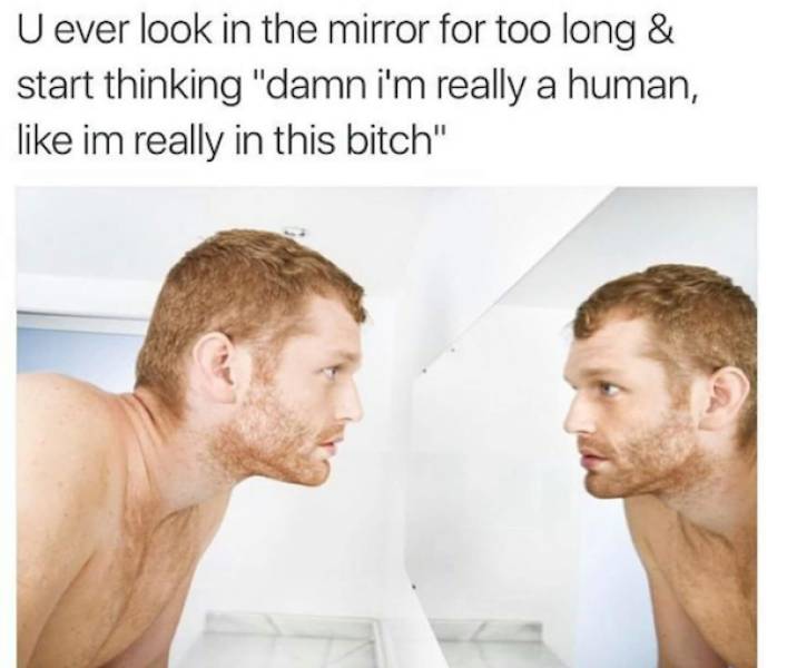 These Stoner Memes Are Already High…