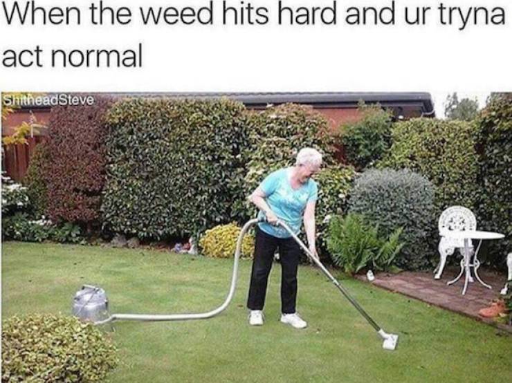 These Stoner Memes Are Already High…