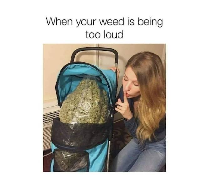 these stoner memes are already high 46 pics 3 gifs 12.html - 46 HD GIF | Premium Gallery 2022