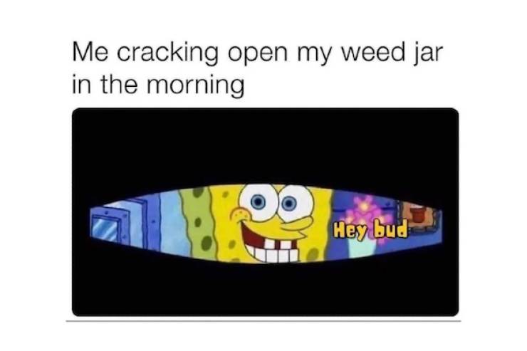 these stoner memes are already high 46 pics 3 gifs 12.html - 46 HD GIF | Premium Gallery 2022