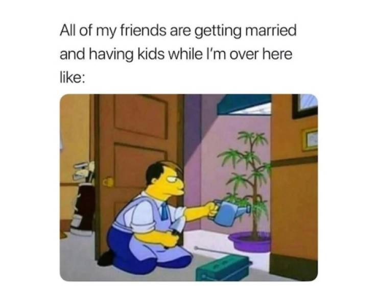 these stoner memes are already high 46 pics 3 gifs 12.html - 46 HD GIF | Premium Gallery 2022