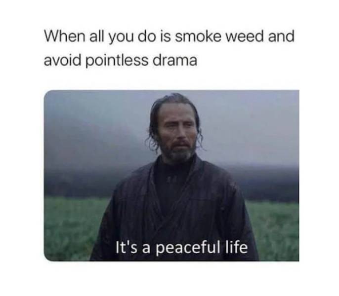 these stoner memes are already high 46 pics 3 gifs 12.html - 46 HD GIF | Premium Gallery 2022