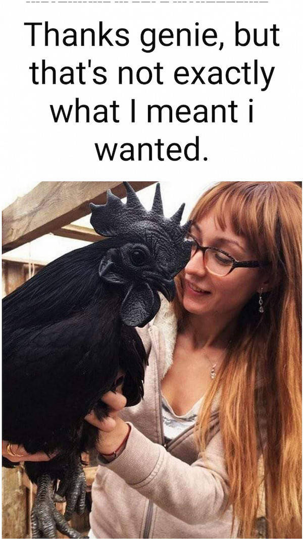 feed your dirty mind 63 pics 4.html - 63 HD Photos | Premium Gallery 2022