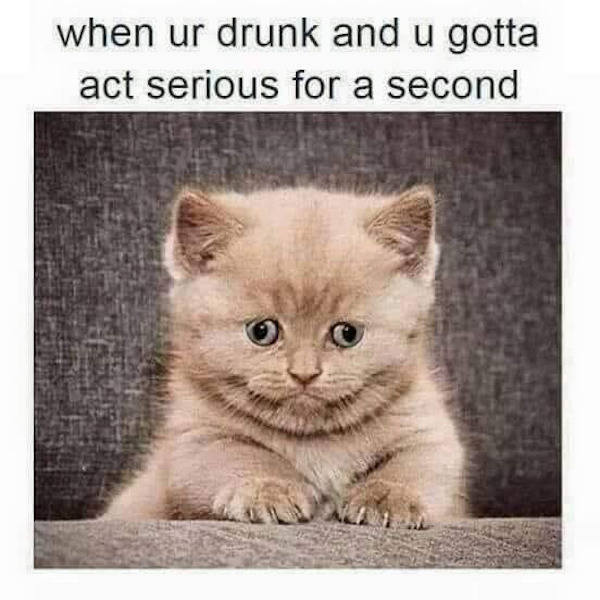 Drinking Never Ends!