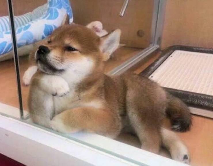 When Sex Goes Horribly Wrong…