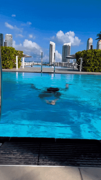 hot girls are here for you 42 gifs 2.html - 1 HD GIF | Premium Gallery 2022