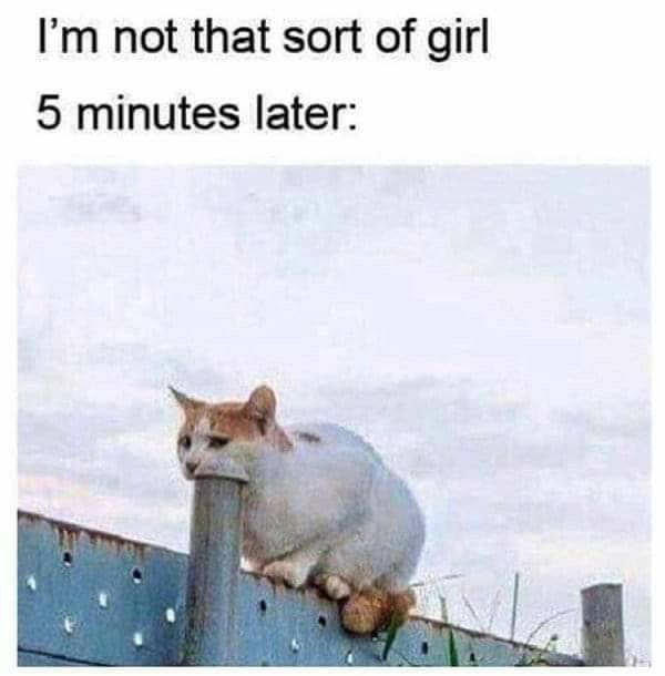 dirty memes only 70 pics 29.html - 70 HD Photos | Premium Gallery 2022