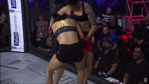 Brutally Beautiful UFC Women