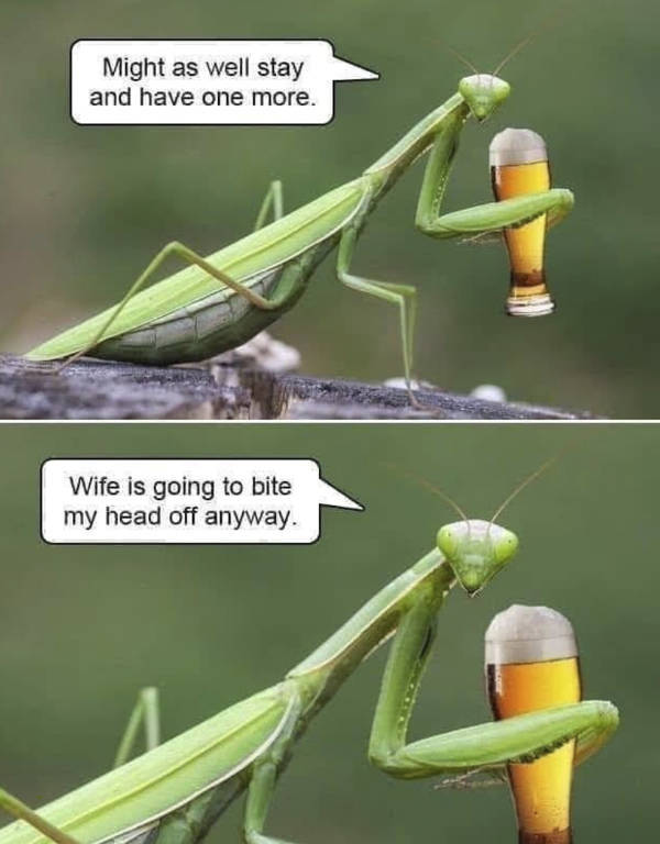 They’ll Never Stop Drinking…