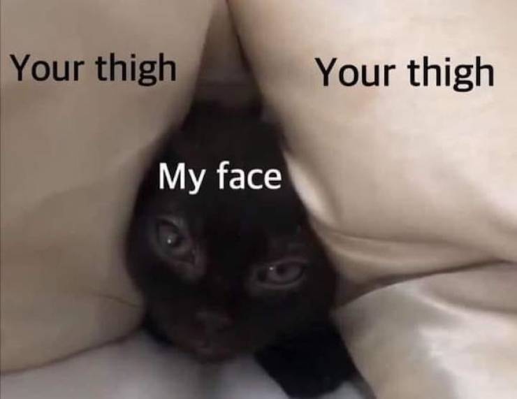 these are some naughty nsfw memes 49 pics 4.html - 49 HD Photos | Premium Gallery 2022