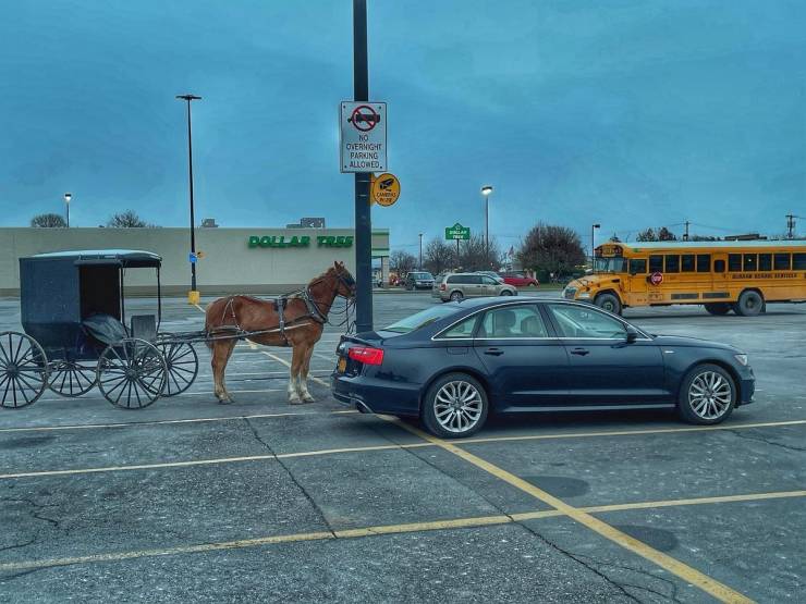 “Walmart” Customers Are Wild…