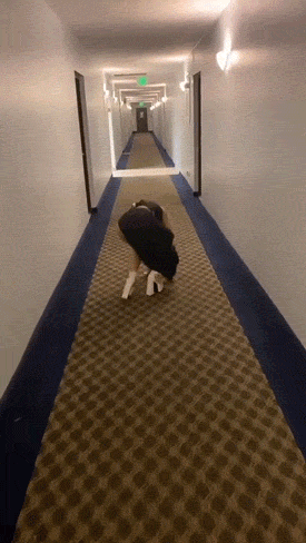 hot girls still fail 25 gifs 2.html - 1 HD GIF | Premium Gallery 2022