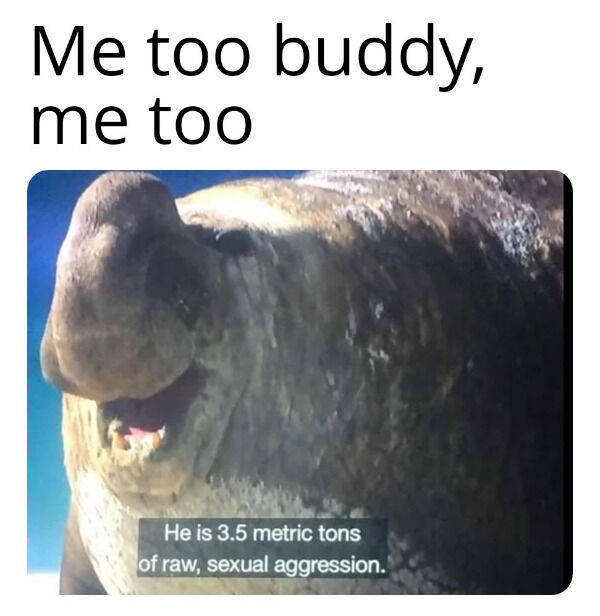 how dirty is your mind 54 pics 2 gifs 28.html - 54 HD GIF | Premium Gallery 2022