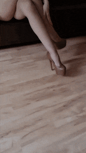 their legs are soo long 52 gifs 1.html - 1 HD GIF | Premium Gallery 2022