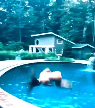 wet and very hot 30 gifs 2.html - 1 HD GIF | Premium Gallery 2023