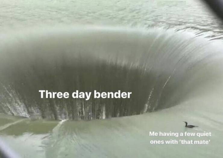 theyll never stop drinking 44 pics 16 gifs 2.html - 44 HD GIF | Premium Gallery 2023