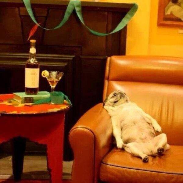 theyll never stop drinking 39 pics 2 gifs 20.html - 39 HD GIF | Premium Gallery 2023