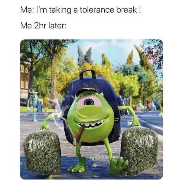 These Stoner Memes Are Already High…