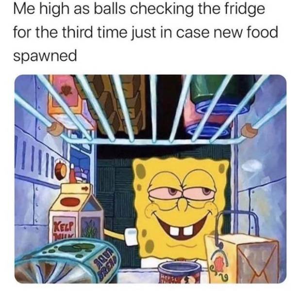 These Stoner Memes Are Already High…