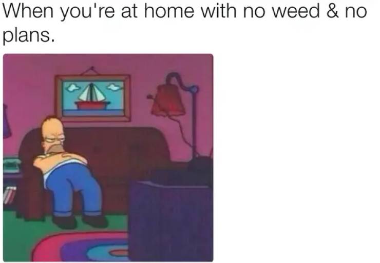 These Stoner Memes Are Already High…