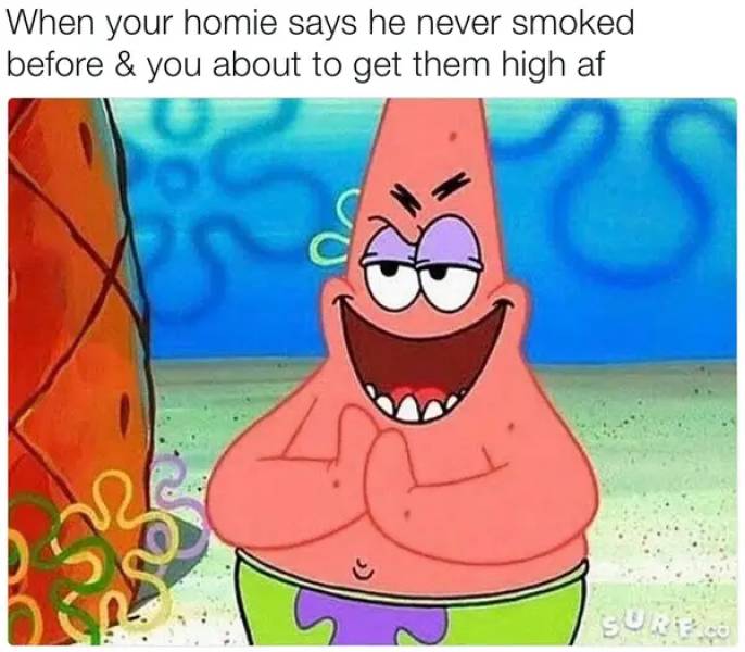 These Stoner Memes Are Already High…