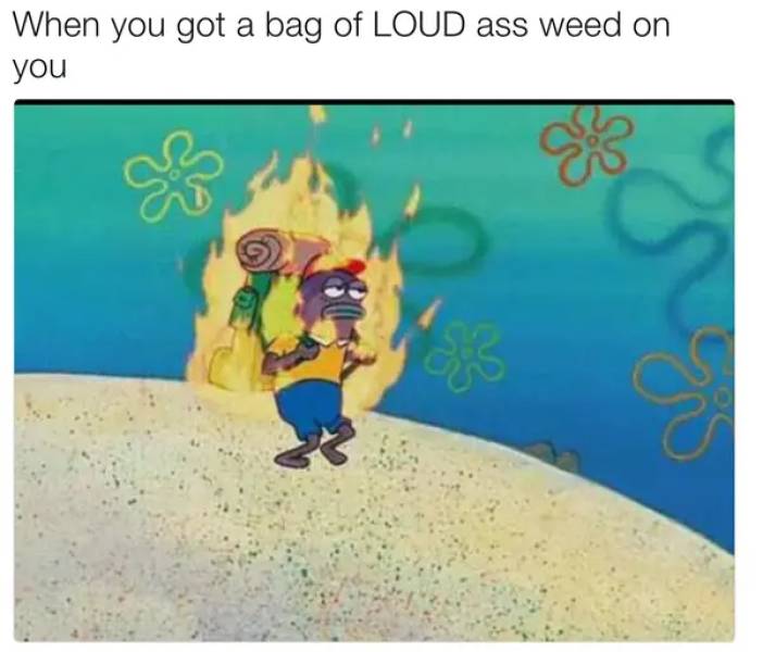 These Stoner Memes Are Already High…