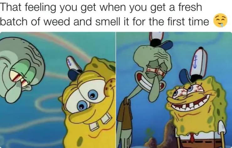 These Stoner Memes Are Already High…