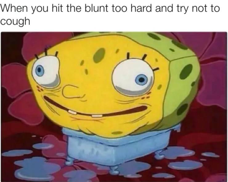 These Stoner Memes Are Already High…