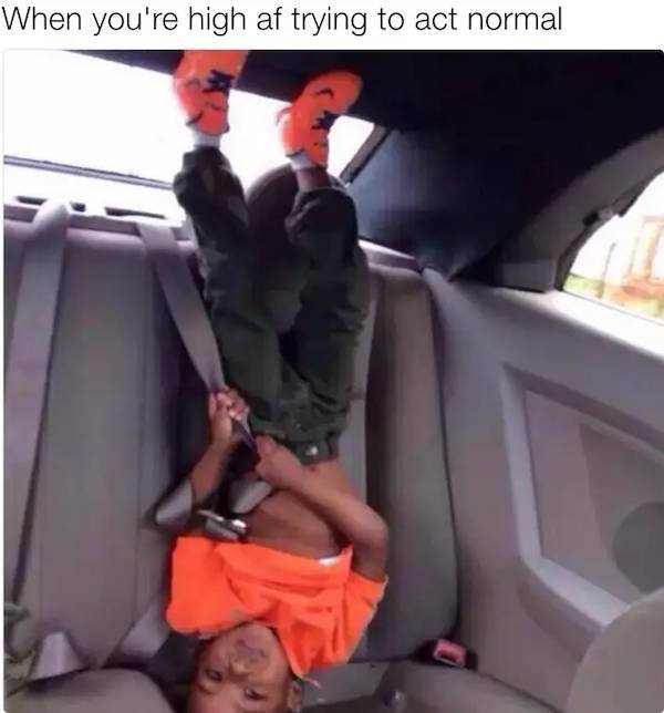 These Stoner Memes Are Already High…