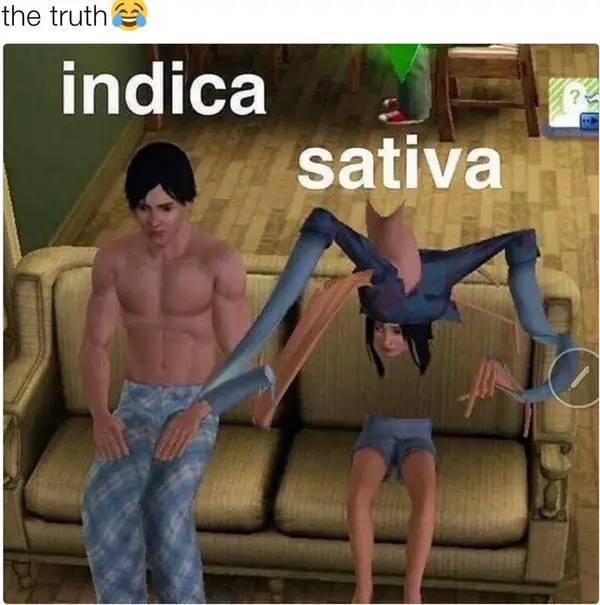 These Stoner Memes Are Already High…