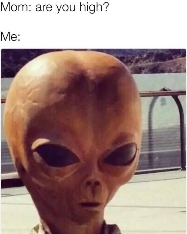 These Stoner Memes Are Already High…