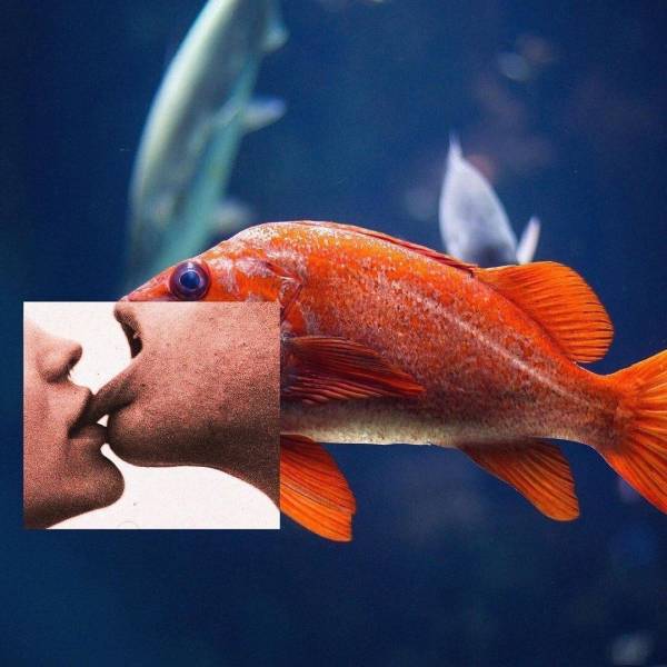 Seductive Collages By Emir Shiro