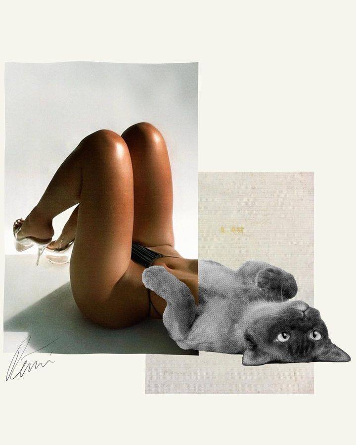 Seductive Collages By Emir Shiro