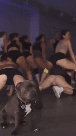 dirty minds only 42 gifs 3.html - 1 HD GIF | Premium Gallery 2023