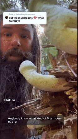 dirty minds only 42 gifs 3.html - 1 HD GIF | Premium Gallery 2023