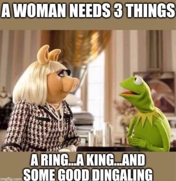 welcome to the memehub 53 pics 1 gif 7.html - 53 HD GIF | Premium Gallery 2023