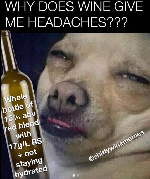 how drunk are they 54 pics 19.html - 54 HD Photos | Premium Gallery 2023