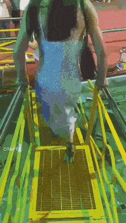 dirty minds only 42 gifs 2.html - 1 HD GIF | Premium Gallery 2023