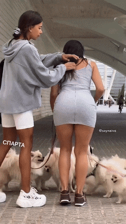 dirty minds only 42 gifs 2.html - 1 HD GIF | Premium Gallery 2023